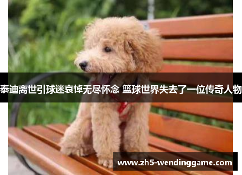 泰迪离世引球迷哀悼无尽怀念 篮球世界失去了一位传奇人物 泰迪离世引球迷哀悼无尽怀念 篮球世界失去了一位传奇人物