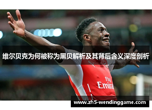 维尔贝克为何被称为黑贝解析及其背后含义深度剖析