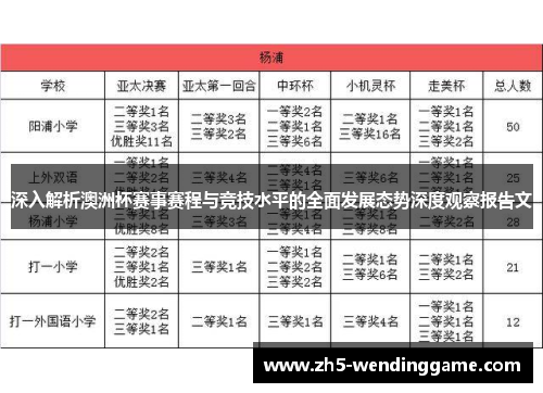 深入解析澳洲杯赛事赛程与竞技水平的全面发展态势深度观察报告文