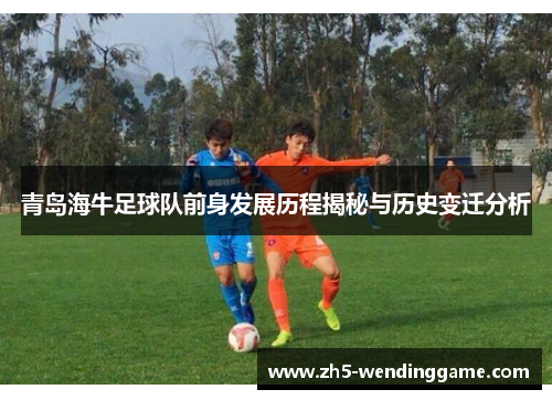 青岛海牛足球队前身发展历程揭秘与历史变迁分析