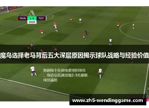 魔鸟选择老马背后五大深层原因揭示球队战略与经验价值